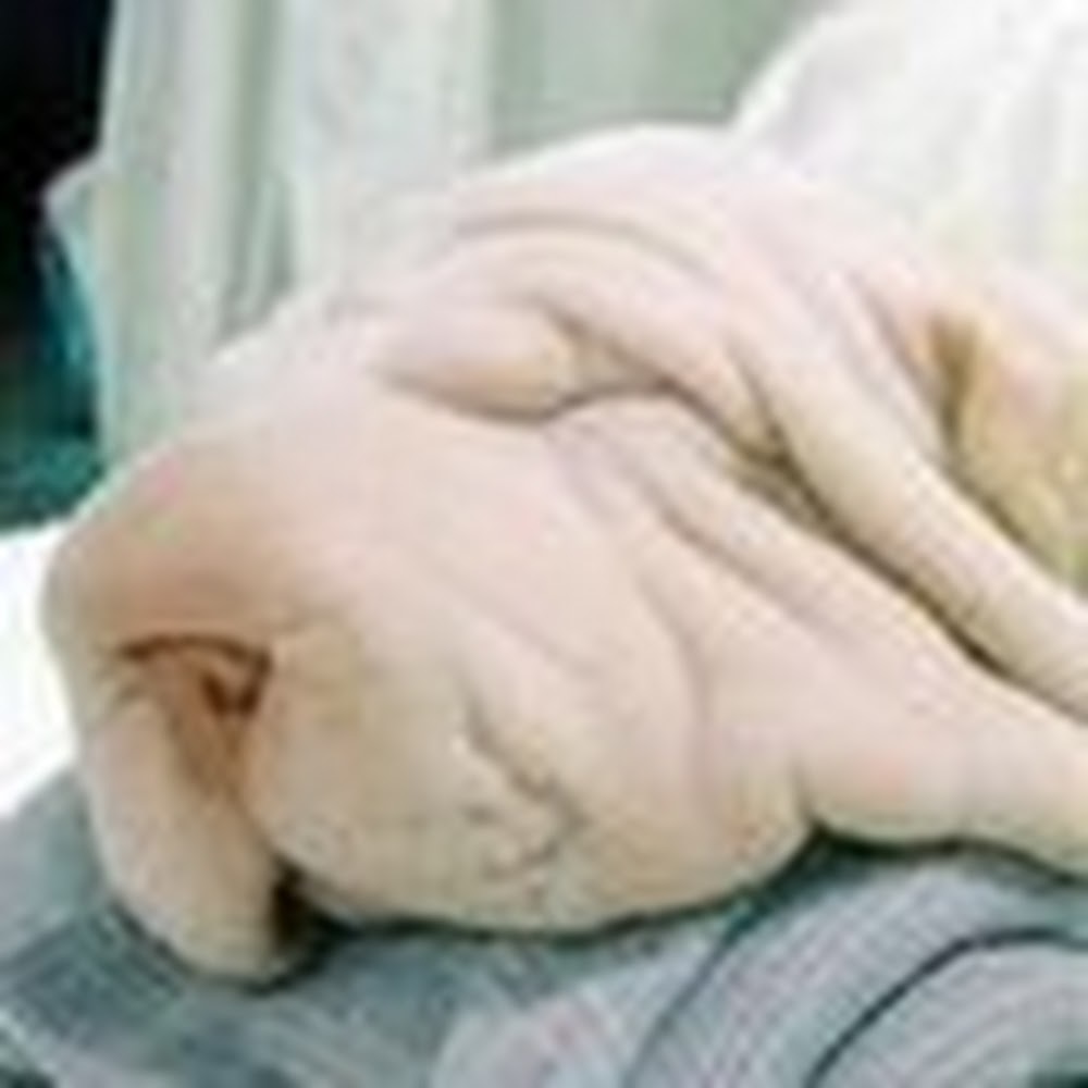 Meet your Posher, Jeff